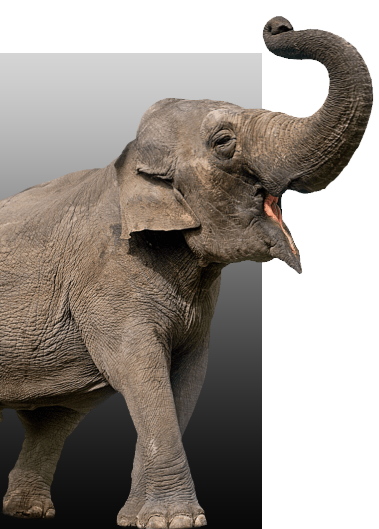 Explore Sri Lanka with Mexi Tours